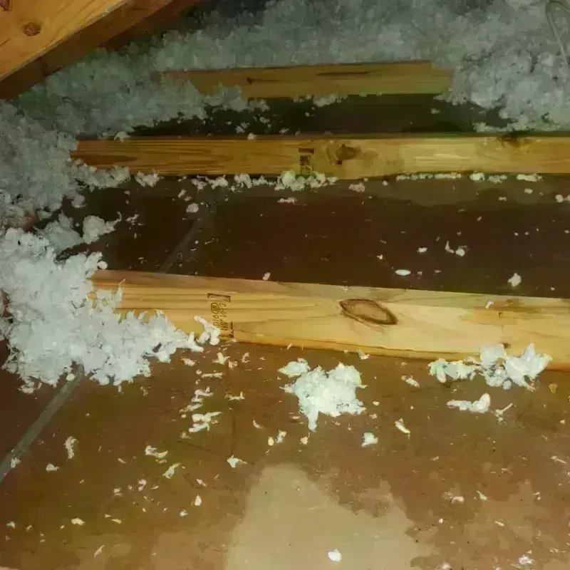 Attic Water Damage in Makaha, HI